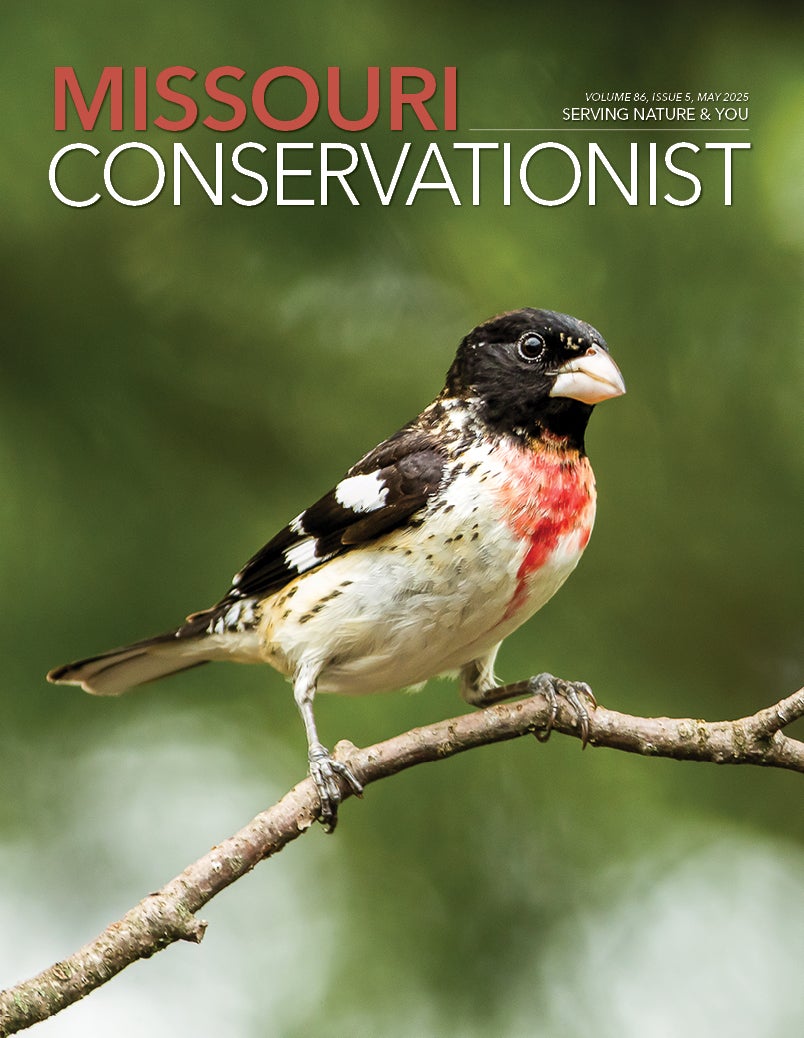 Missouri Department of Conservation